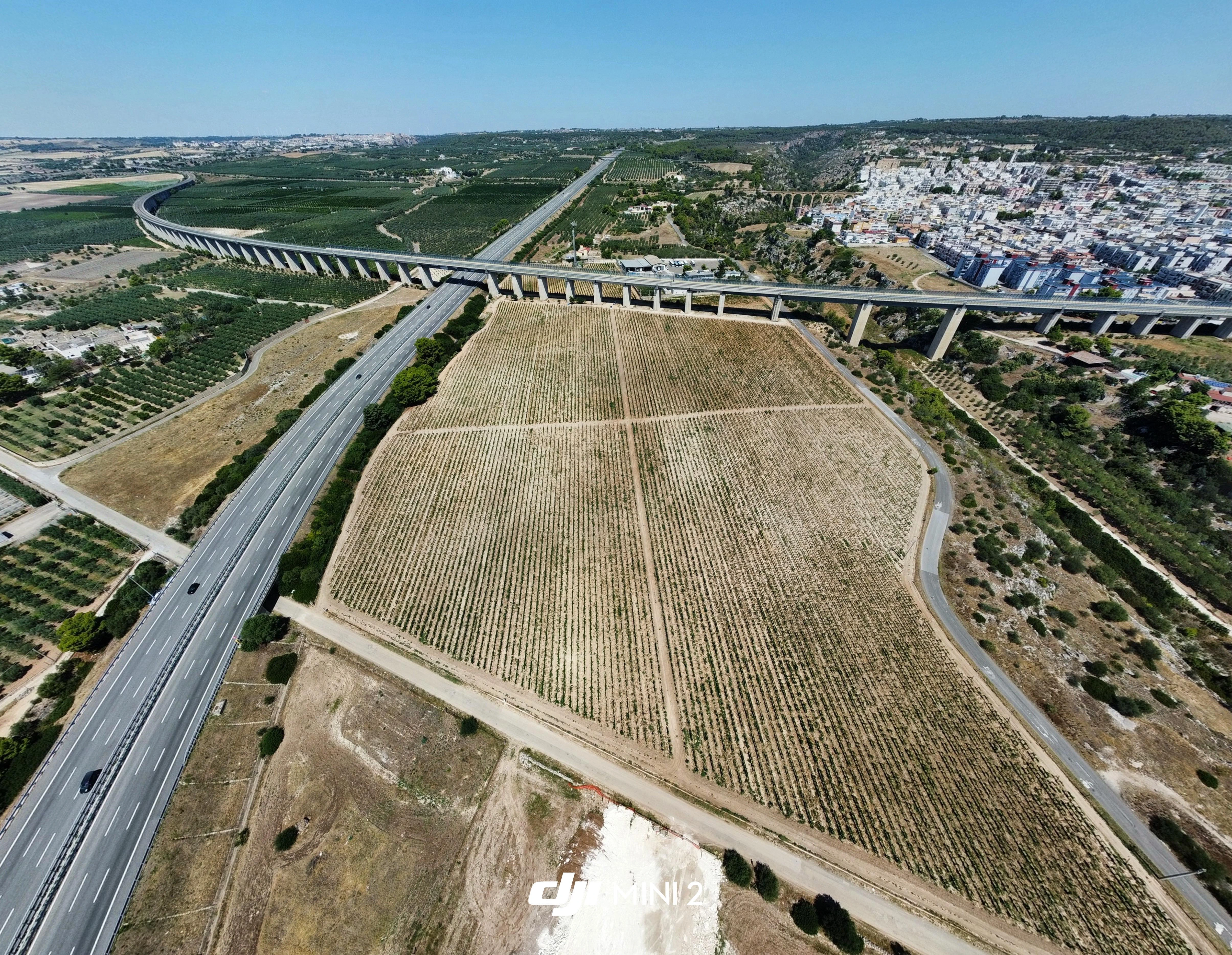 Colline e vigneti nel territorio ionico